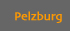Pelzburg